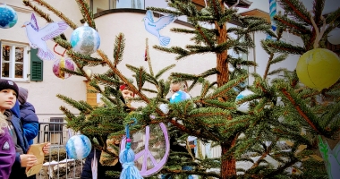 Nachhaltige Weihnachtswald-Aktion im Hopfgartner Markt